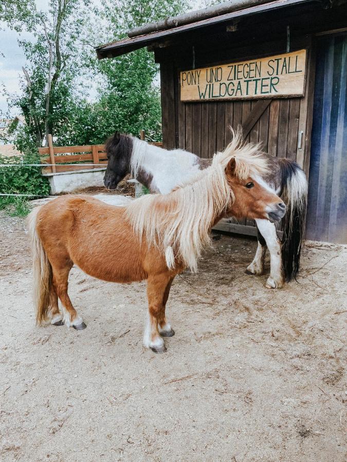 Ferienpark Wildgatter Grafenwiesen