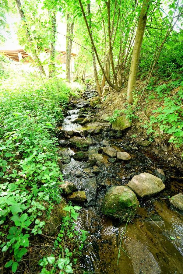 Wildgatter Grafenwiesen